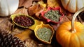 Dried Herbs in Bowls with Pumpkins on Dry Leaves Royalty Free Stock Photo