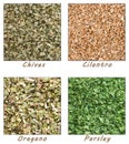 Dried Herbs (Chives, Cilantro, Parsley, Oregano)