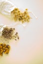 dried herbs at cotton white bags from above. Sachets filled with medicinal chamomilla and bunches Royalty Free Stock Photo