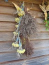 Dried herbs and ears of corn on a log wall