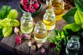Dried herbs with essential oils for aromatherapy treatment. Bottle of rose essential oil with dried rose petals Royalty Free Stock Photo