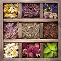 Dried Herbs and flowers