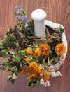 Dried herbs and flowers in white mortar, herbalism, decoration Royalty Free Stock Photo