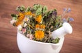 Dried herbs and flowers in white mortar, herbalism, decoration