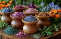 Dried herbs and flowers in wooden mortar and pestle Royalty Free Stock Photo