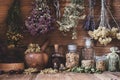 Dried herbs hanging over bottles of tinctures and oils Royalty Free Stock Photo