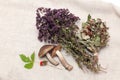Dried herbs and mushrooms Royalty Free Stock Photo