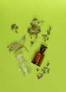 Dried herbs and two empty vials on green background. Herbal medicine, essential oil. Alternative medicine concept Royalty Free Stock Photo