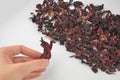 Dried hibiscus in a hand on a egyptian hibiscus dry red tea (karkade) background Royalty Free Stock Photo