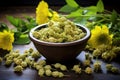 dried hops flowers used for making herbal tea