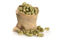 Dried hops Royalty Free Stock Photo