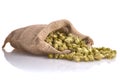 Dried hops Royalty Free Stock Photo