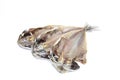 Dried Horse mackerel Royalty Free Stock Photo