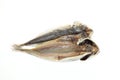 Dried Horse mackerel