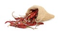 Dried hot red chillies in a sack on white backgroud Royalty Free Stock Photo
