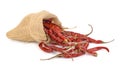 Dried hot red chillies in a sack on white backgroud Royalty Free Stock Photo