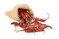 Dried hot red chillies in a sack on white backgroud Royalty Free Stock Photo