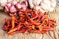 Dried hot red chillies Royalty Free Stock Photo