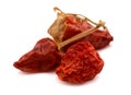 Dried whole paprika chile, paths, top view. Royalty Free Stock Photo