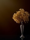 Dried hydrangea flowers in a vase, remembrance or memory concept. Nostalgic of time passing. Royalty Free Stock Photo