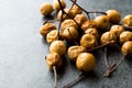 Dried Immature Unripe Dry Yellow Dates from Palm Tree with Stalks Royalty Free Stock Photo