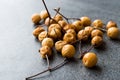 Dried Immature Unripe Dry Yellow Dates from Palm Tree with Stalks Royalty Free Stock Photo
