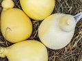 Dried Italian caciocavallo cheese