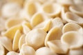 Dried italian orecchiette pasta blur defocused Royalty Free Stock Photo