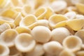 Dried italian orecchiette pasta blur defocused