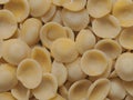 Dried italian orecchiette pasta food background Royalty Free Stock Photo