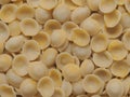 Dried italian orecchiette pasta food background Royalty Free Stock Photo