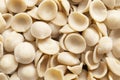 Dried italian orecchiette pasta food background Royalty Free Stock Photo