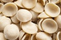 Dried italian orecchiette pasta food background Royalty Free Stock Photo