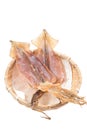 Dried Japanese squid