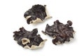 Dried jelly ear mushrooms Royalty Free Stock Photo