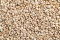 Dried Job\'s tears or adlay millet background Royalty Free Stock Photo