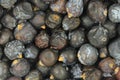 Dried juniper berries background Royalty Free Stock Photo