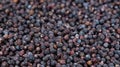 Dried Juniper Berries background image Royalty Free Stock Photo