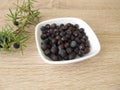 Dried juniper berries and juniper twig Royalty Free Stock Photo