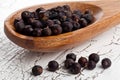 Dried juniper berries on spoon Royalty Free Stock Photo