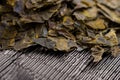 Dried kombu seaweed leaves. Traditional japanese dashi soup ingredient. Dry dehydrated algae