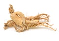 Dried Korean Ginseng Royalty Free Stock Photo