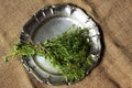 Dried Ladys Mantle on Antique Dish.