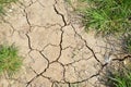 Dried land and grass Royalty Free Stock Photo