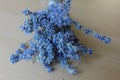 Dried lavander bouquet Royalty Free Stock Photo