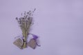 Dried lavander flowers and lavender sachets on a lavender colored background
