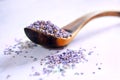 Dried lavender Royalty Free Stock Photo