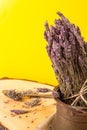 Dried lavender bundle in old metallic pot, with vivid yellow background and copy-space. Royalty Free Stock Photo