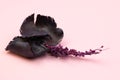 Dried lavender flowers isolated on pink background. Top view. Royalty Free Stock Photo
