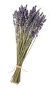 Dried lavender flowers Royalty Free Stock Photo